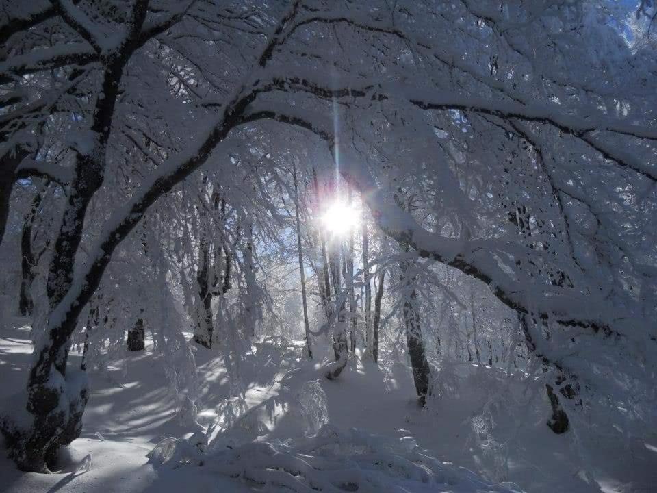 Stara Planina Vila Vesela Kuca Jalovik Izvor Exterior photo